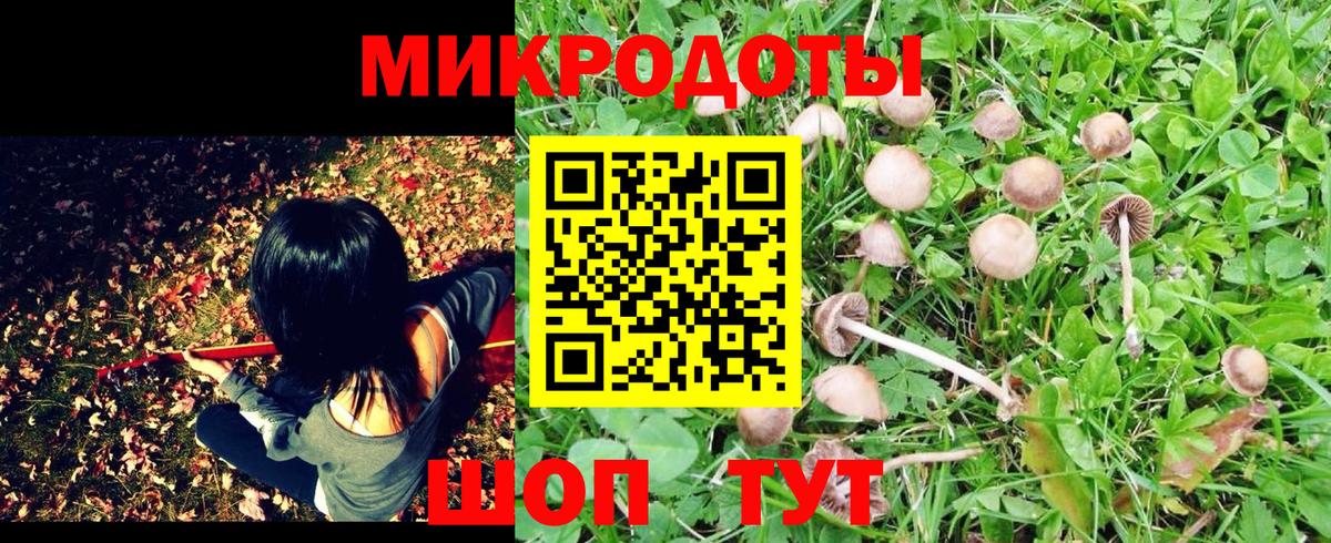 Псилоцибиновые грибы Magic Shrooms  Псилоцибиновые грибы Magic Shrooms  Вход с VPN  дарнет шоп  Димитровград 